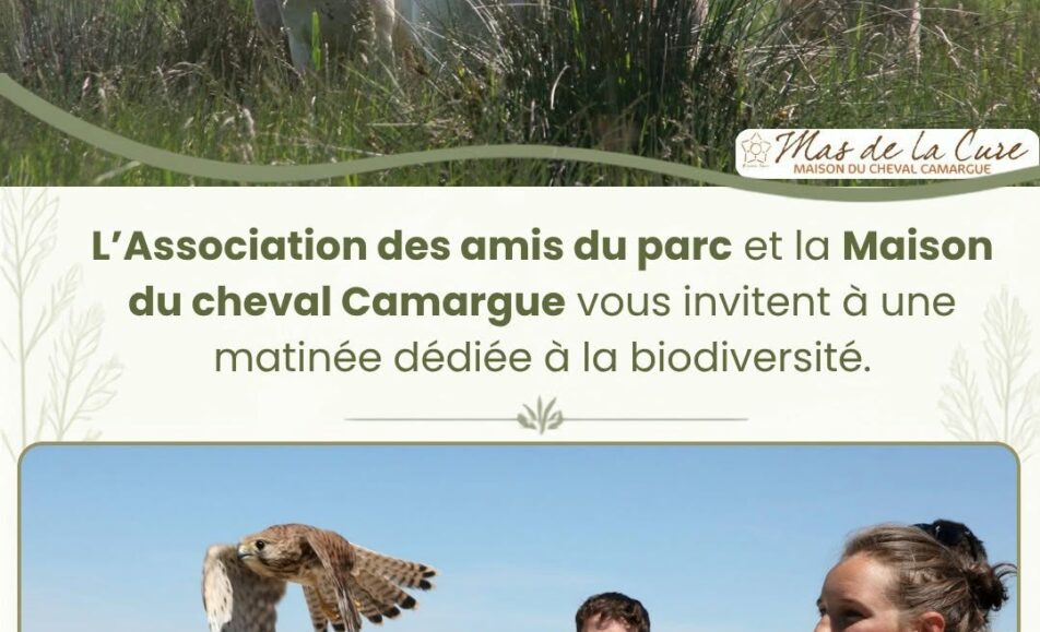 Un instant suspendu en Terre Camargue