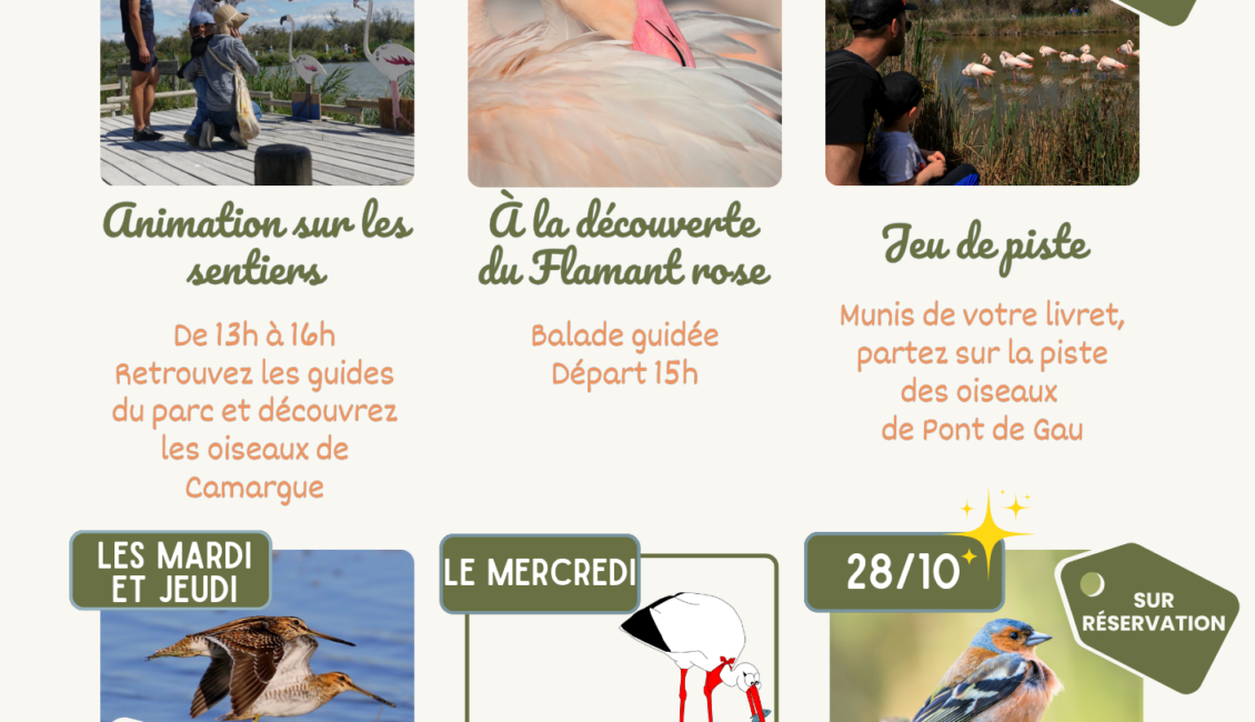Parc Ornithologique du Pont de Gau - Vacances de la Toussaint