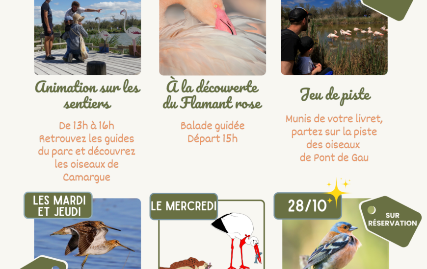 Vacances de la Toussaint - Parc Ornithologique du Pont de Gau