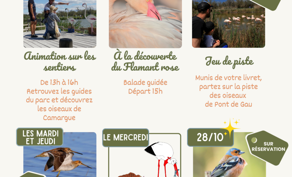 Parc Ornithologique du Pont de Gau - Vacances de la Toussaint
