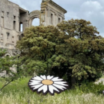 Floraison Majeure