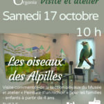 Les Samedis du Musée