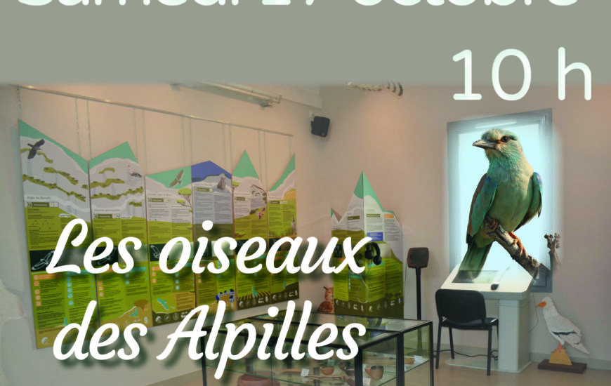 Les Samedis du Musée
