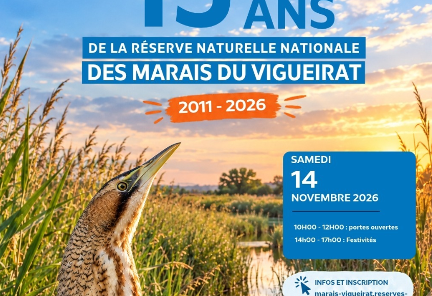 Les 15 ans des marais du Vigueirat